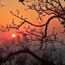 참가 유저 프로필