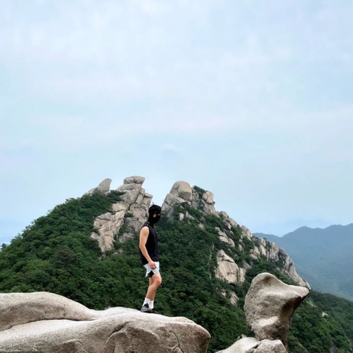 피드 이미지