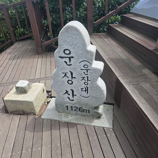 피드 이미지