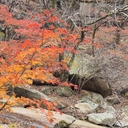 참가 유저 프로필