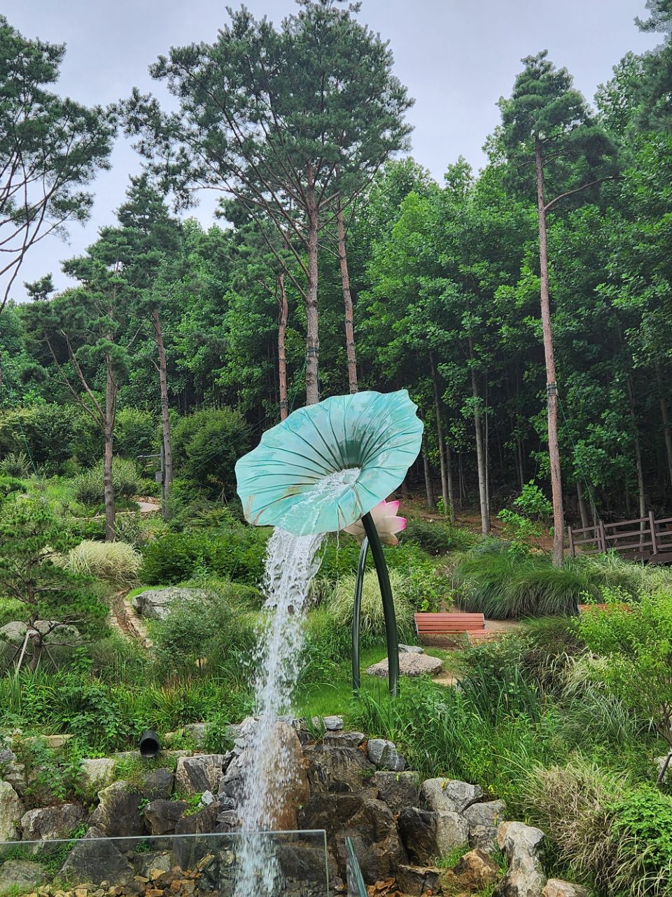 피드 이미지