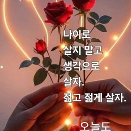 피드에 업로드 된 이미지