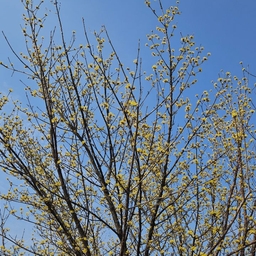 피드에 업로드 된 이미지