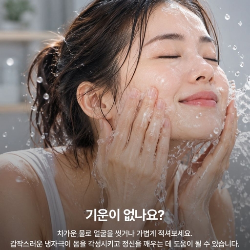 피드 이미지