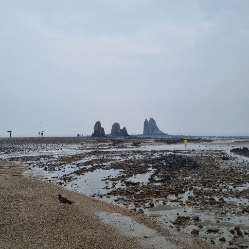 피드 이미지