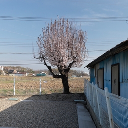 피드에 업로드 된 이미지