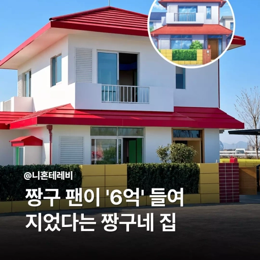 피드 이미지
