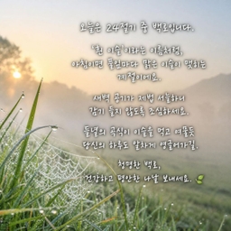 피드에 업로드 된 이미지