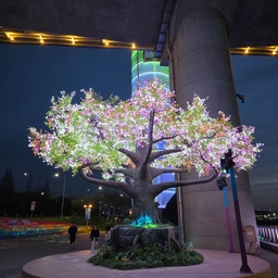 피드에 업로드 된 이미지