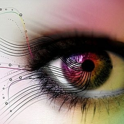 피드에 업로드 된 이미지