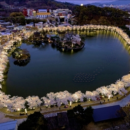 피드에 업로드 된 이미지