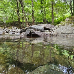 피드에 업로드 된 이미지
