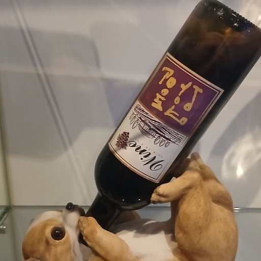 피드 이미지
