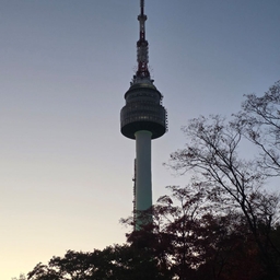 피드에 업로드 된 이미지