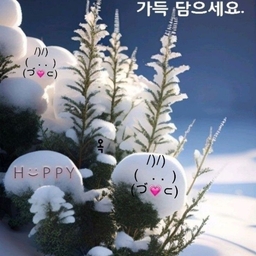 피드에 업로드 된 이미지