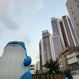 피드에 업로드 된 이미지