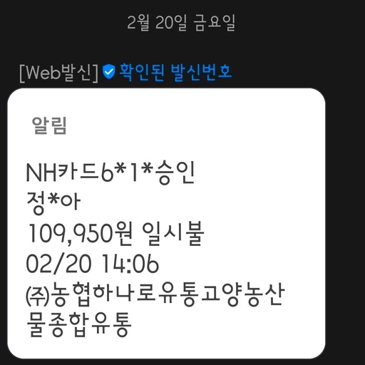 피드 이미지