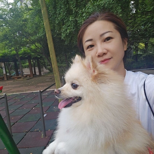 피드 이미지