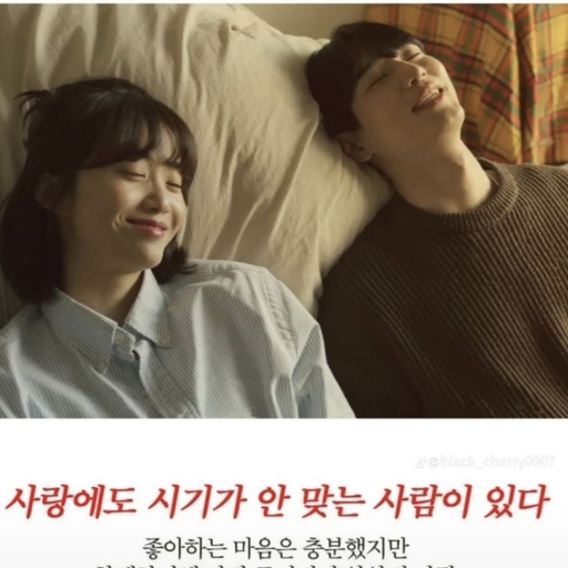 피드 이미지