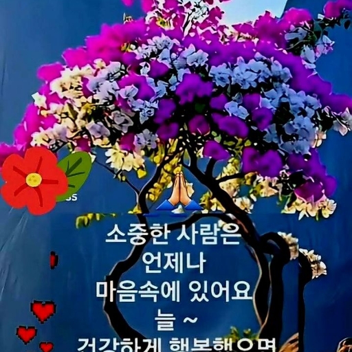 피드 이미지