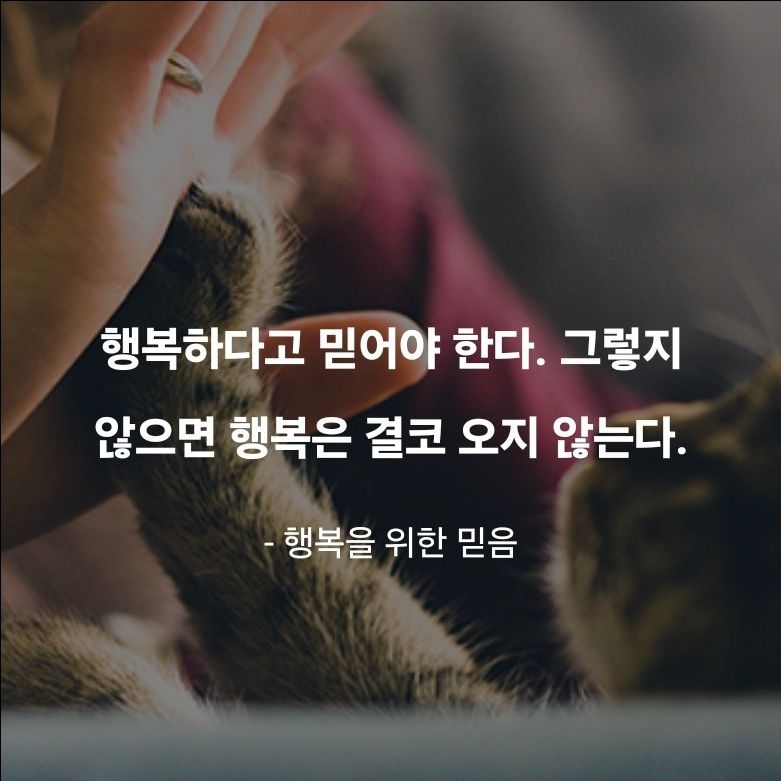 피드에 업로드 된 이미지