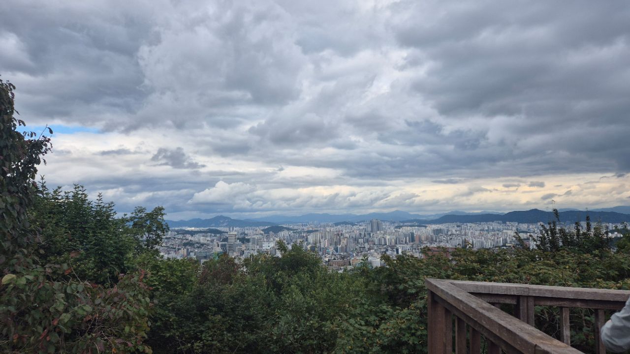 피드 이미지
