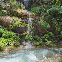피드에 업로드 된 이미지