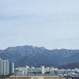 피드에 업로드 된 이미지