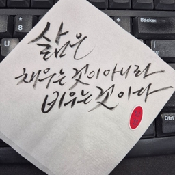 피드에 업로드 된 이미지