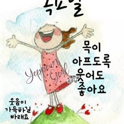 피드에 업로드 된 이미지