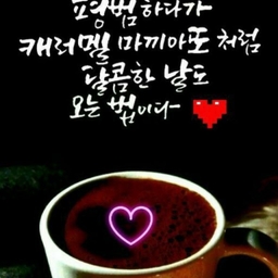 피드에 업로드 된 이미지