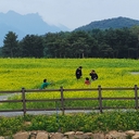 멤버 프로필