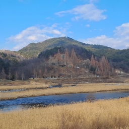 피드에 업로드 된 이미지