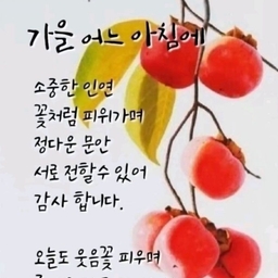 피드에 업로드 된 이미지