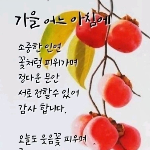 피드 이미지