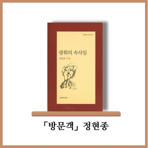 피드 이미지