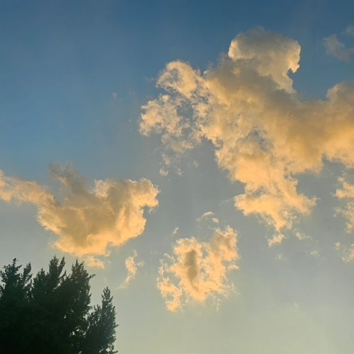 피드 이미지