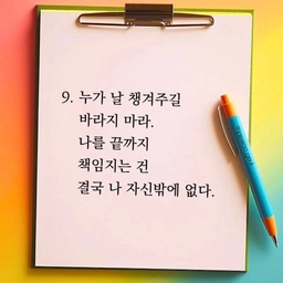 피드에 업로드 된 이미지