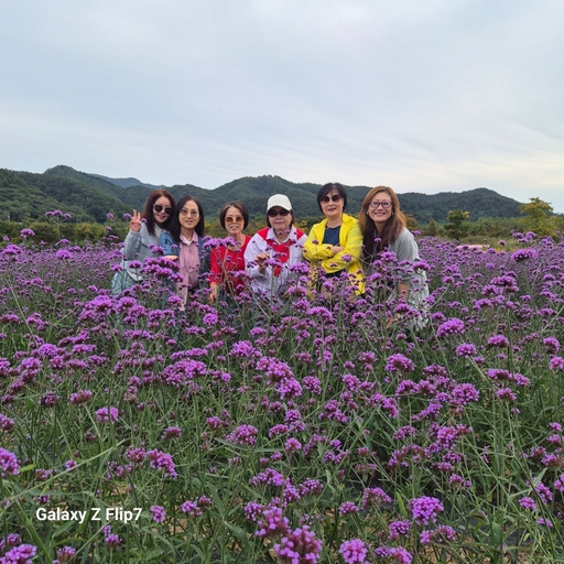 피드 이미지