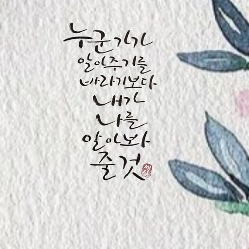 피드 이미지