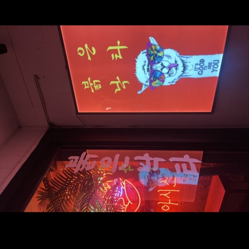 피드 이미지