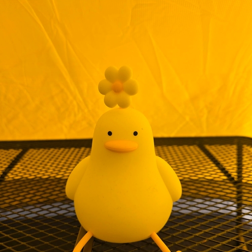 피드 이미지