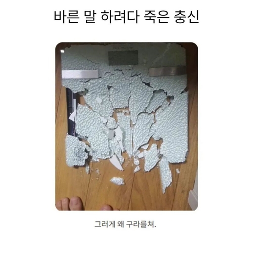 피드 이미지