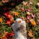 멤버 프로필