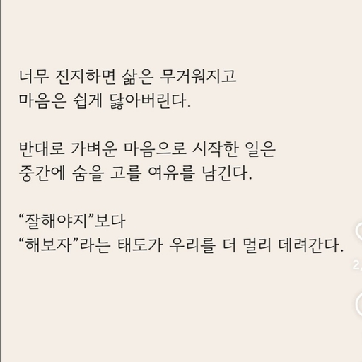 피드 이미지