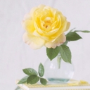 참가 유저 프로필