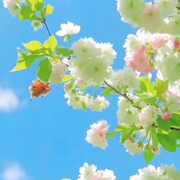 피드에 업로드 된 이미지