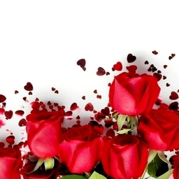 ํผ๋์ ์
๋ก๋ ๋ ์ด๋ฏธ์ง