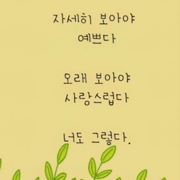 피드에 업로드 된 이미지