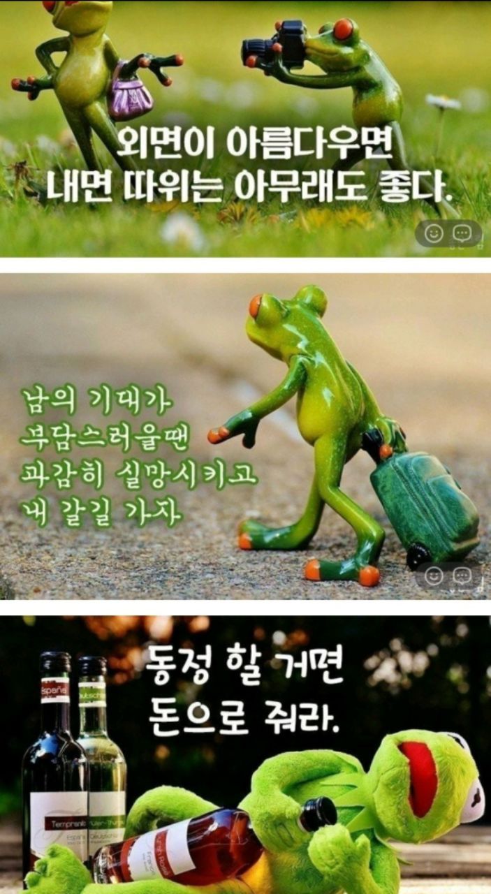 피드 이미지